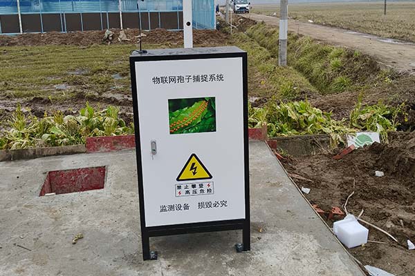 農業(yè)高標準農田圖片6